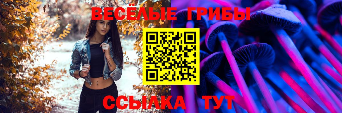 Барнаул  Галлюциногенные грибы Psilocybine cubensis  Псилоцибиновые грибы Psilocybe  Вход с VPN 